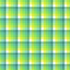 Check Check Sage | Kitchen Window Wovens by Elizabeth Hartman for Robert Kaufman – Quilting Cotton Fabric