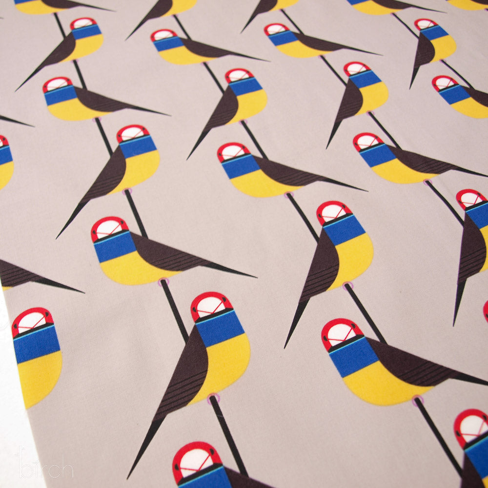 CH-355-Gouldian-Finch-Charley-Harper-Discovery-Place