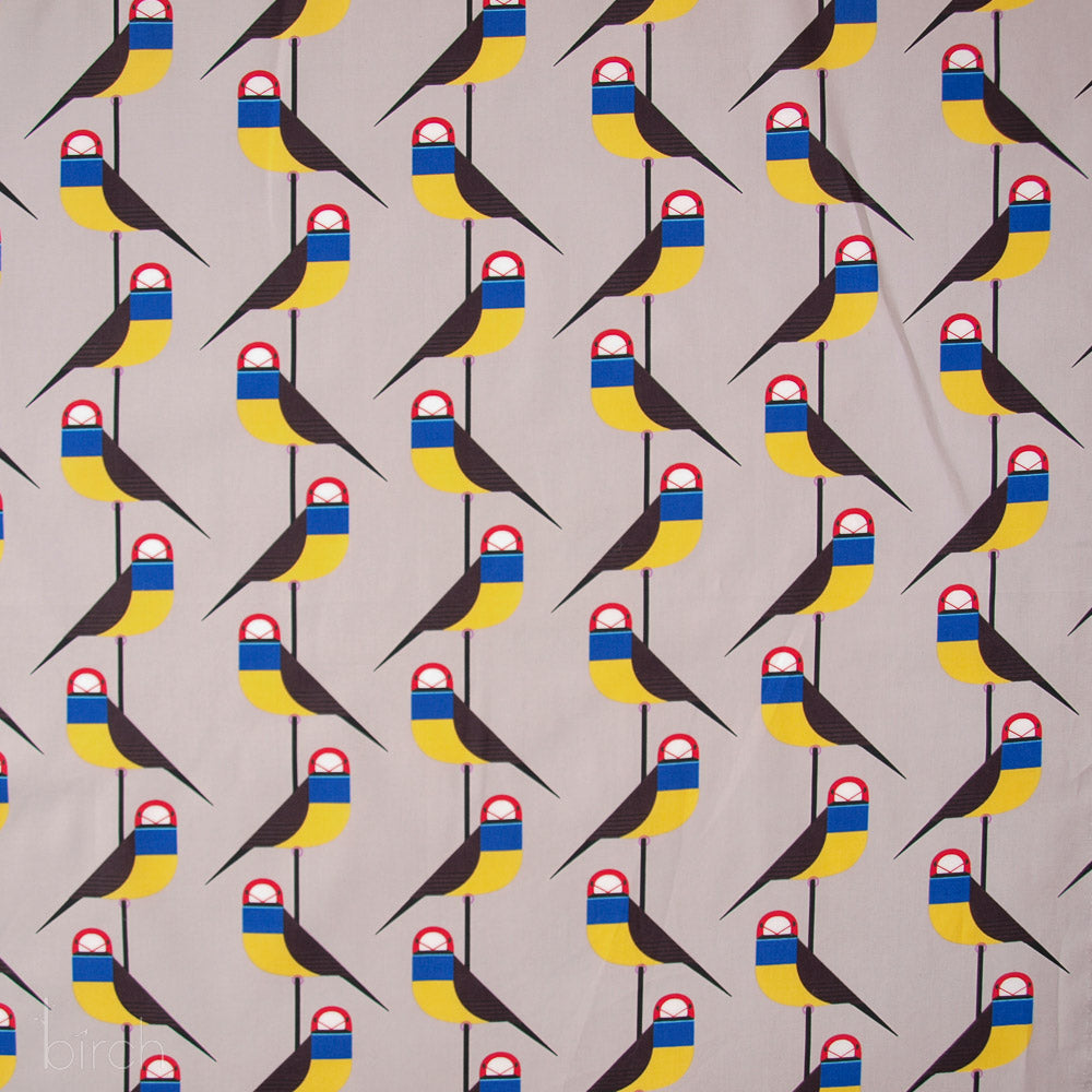 Gouldian Finch, Discovery Place by Charley Harper for Birch Organic