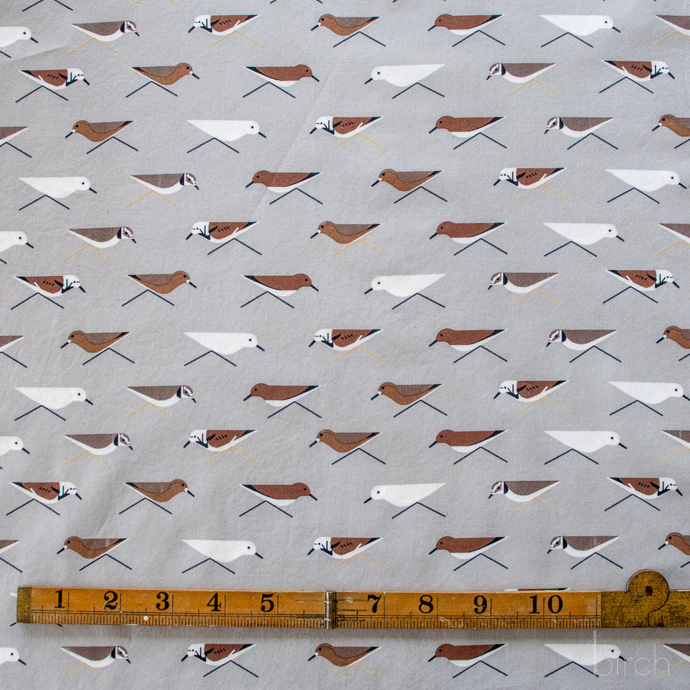 Sanderlings, Charley Harper Coastal Vol. 2 for Birch Organic Fabrics