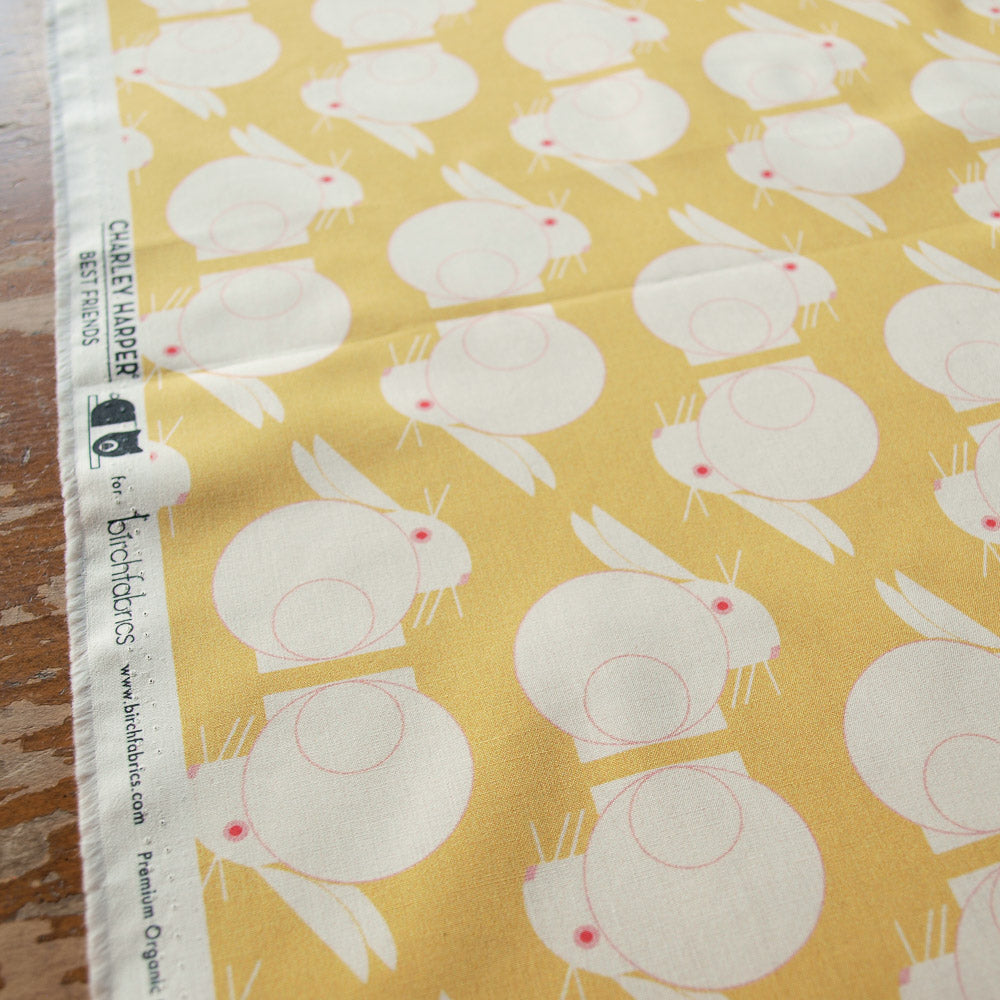 Bunny Stagger Sunshine Charley Harper Best Friends