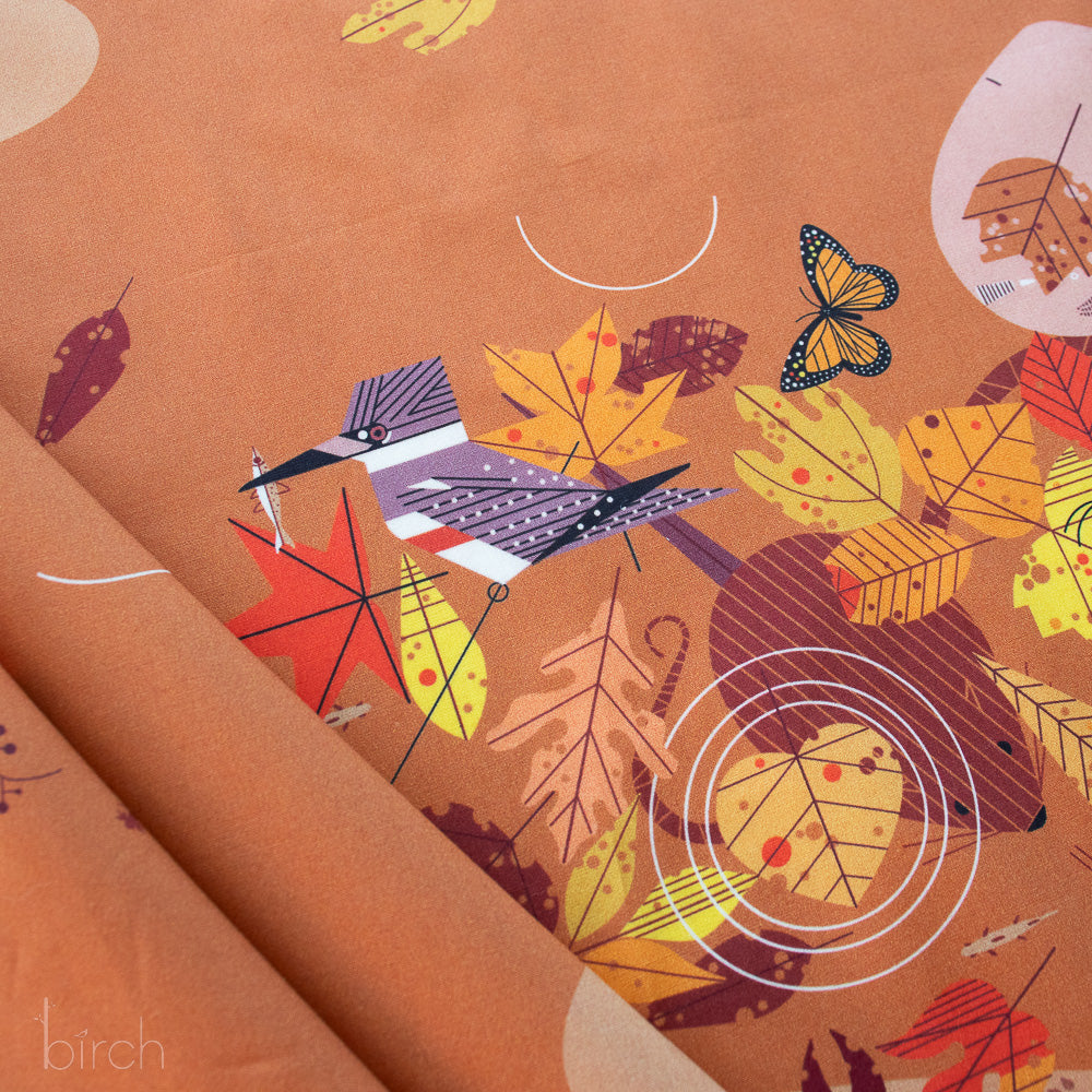 Autumn