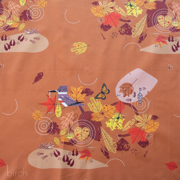 Autumn