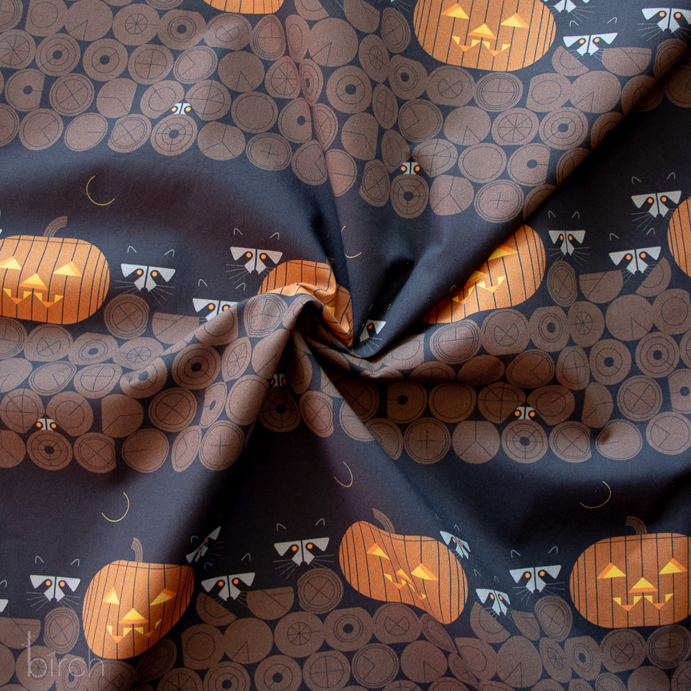 Pumpkin Racoons