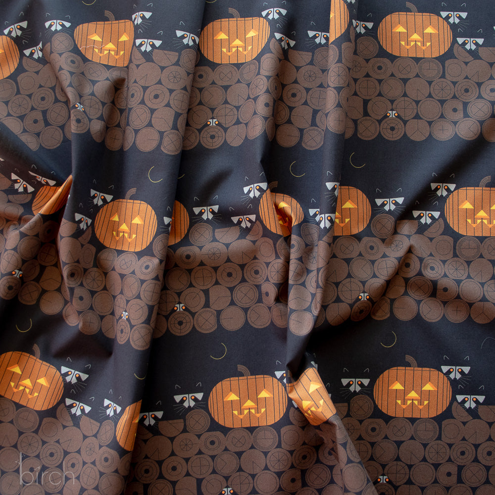 Pumpkin Racoons