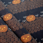 Pumpkin Racoons
