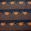 Pumpkin Racoons