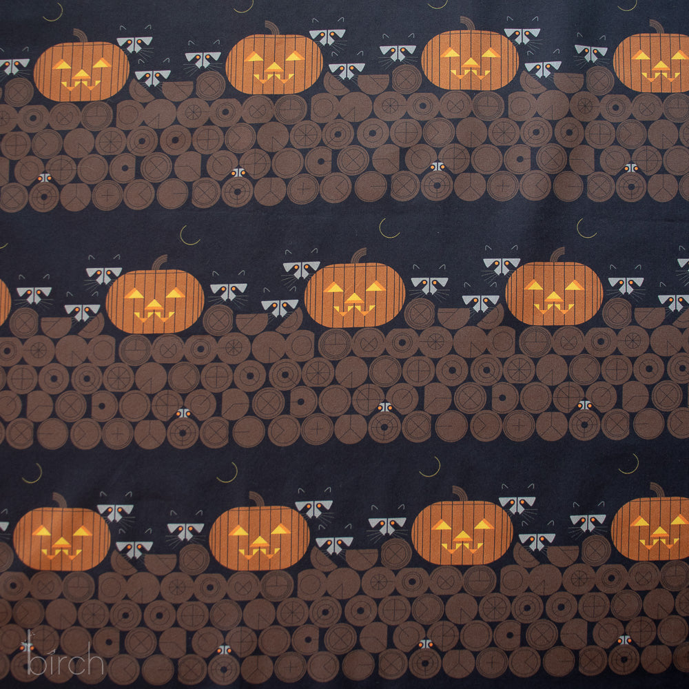 Pumpkin Racoons