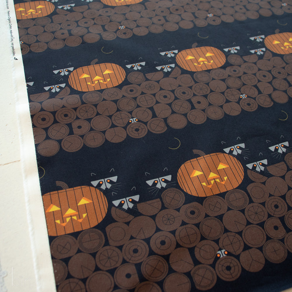 Pumpkin Racoons