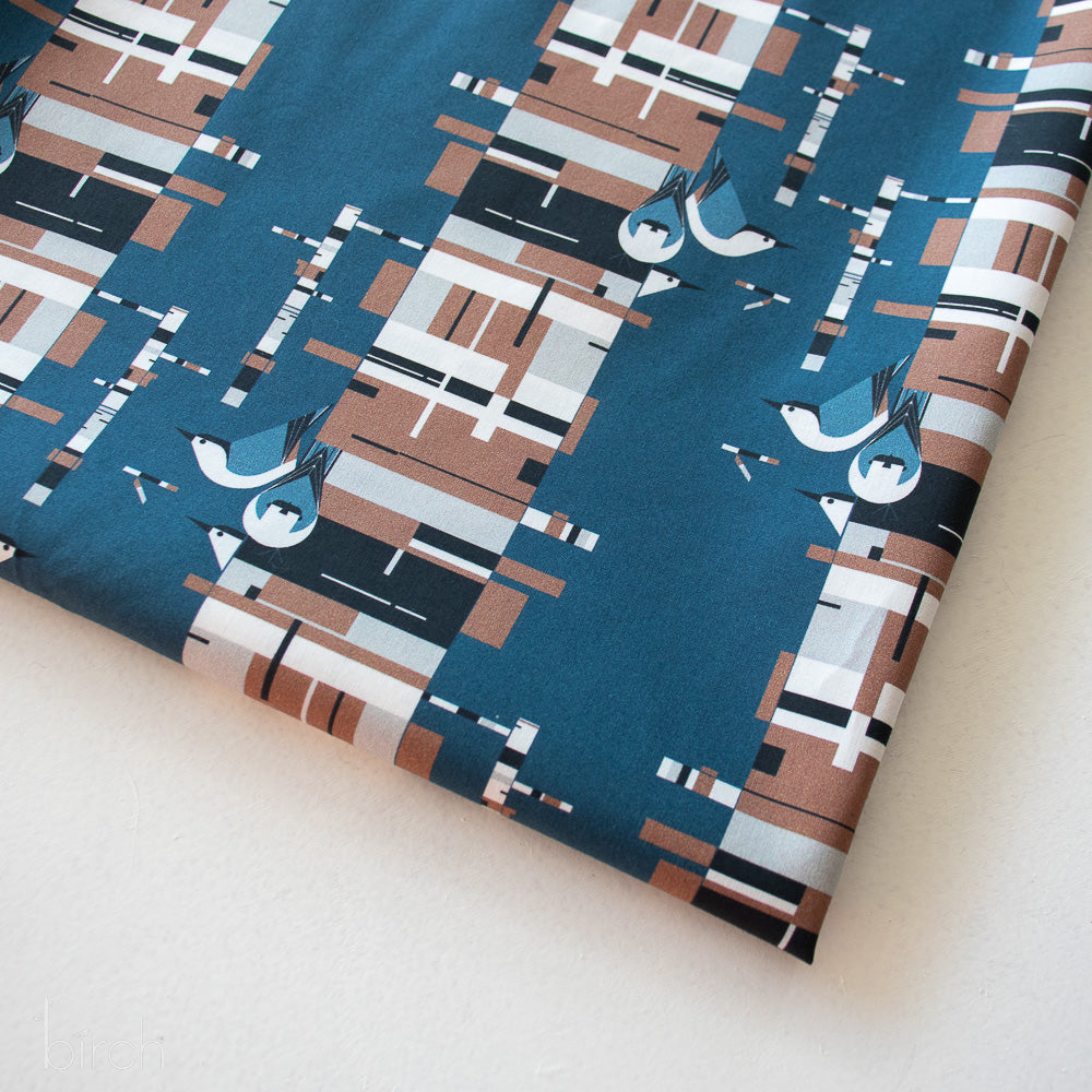 Birch Bark
