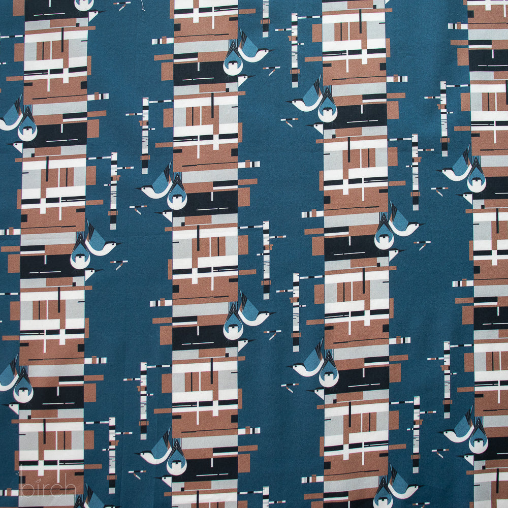 Birch Bark