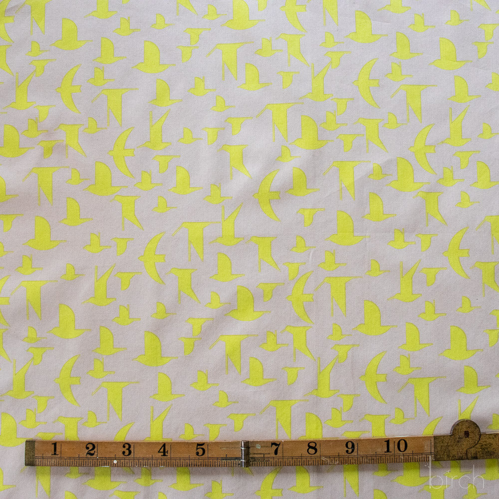 Maritime Birds Lemoncello, Charley Harper Coastal Vol. 2 for Birch Organic Fabrics