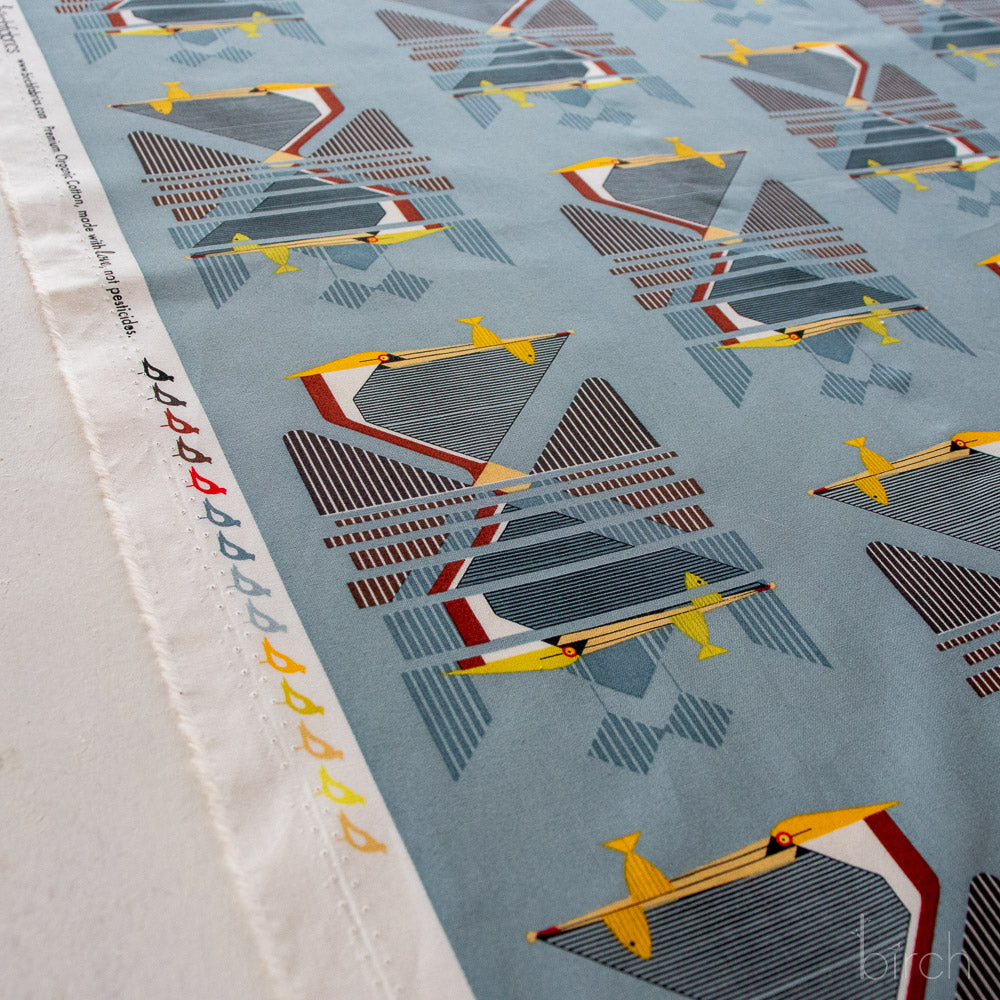 Pelican Reflection, Charley Harper Coastal Vol. 2 for Birch Organic Fabrics