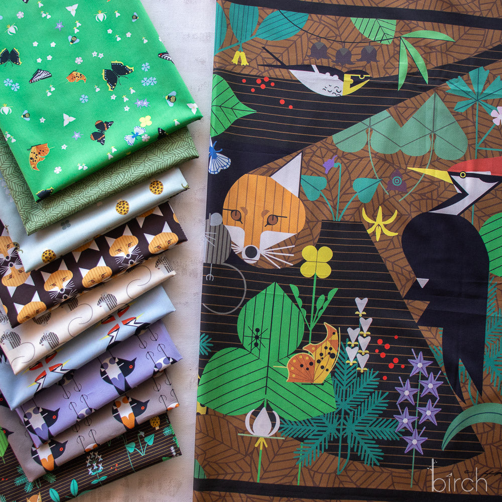CH Woodland Wonders-1