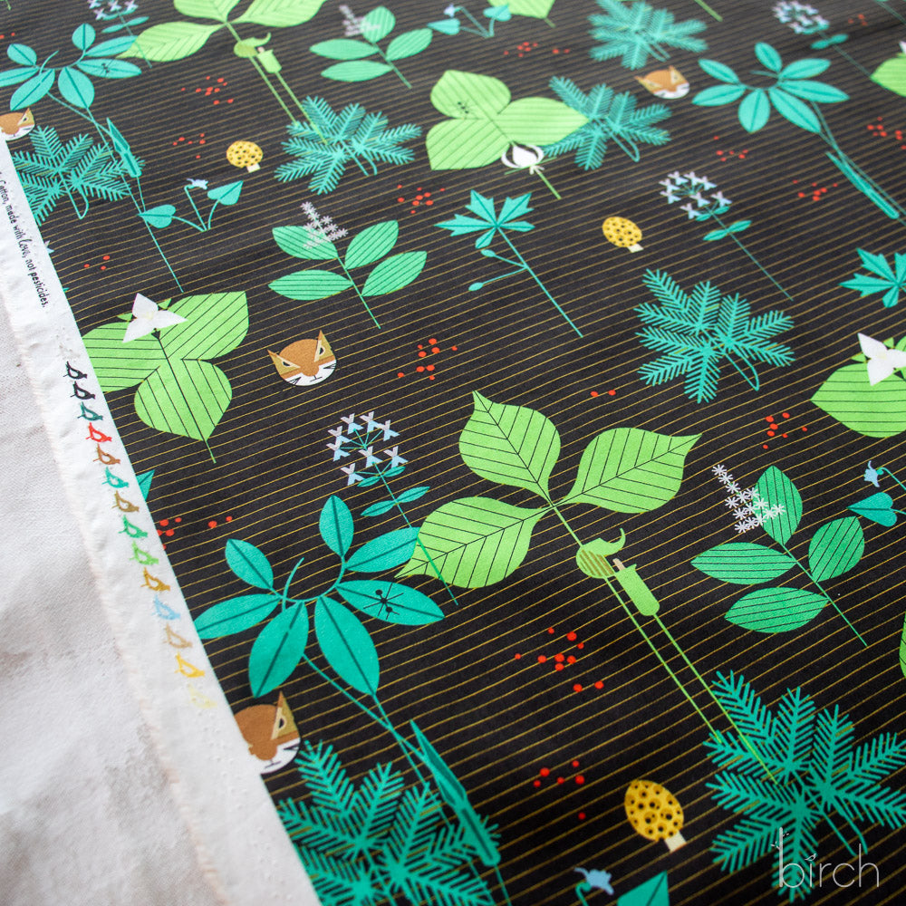 Woodland Wonders Foliage Brown, Charley Harper Woodland Wonder for Birch Organic Fabrics