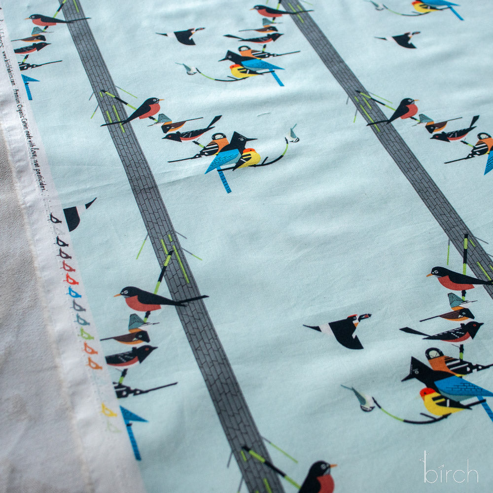 Birds on Pine, Charley Harper Sierra Range