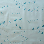 Flight Aqua
