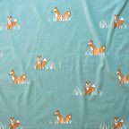 Sly Fox