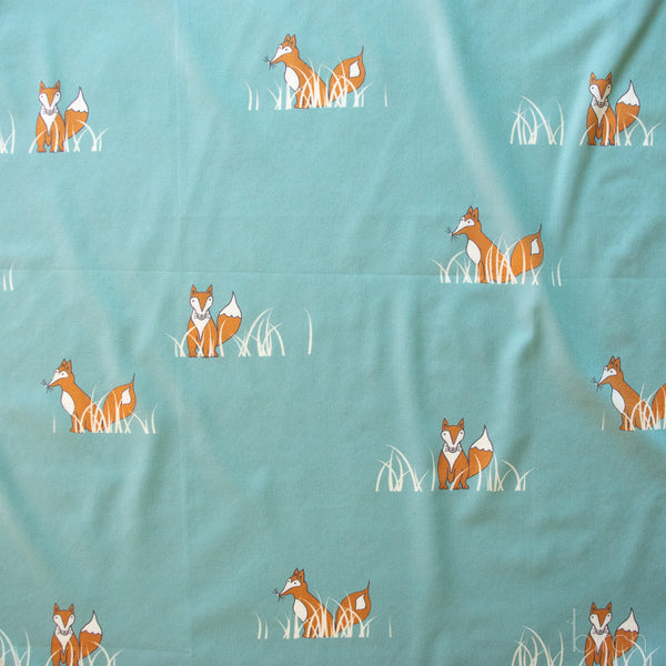 Sly Fox