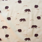 Bear Camp