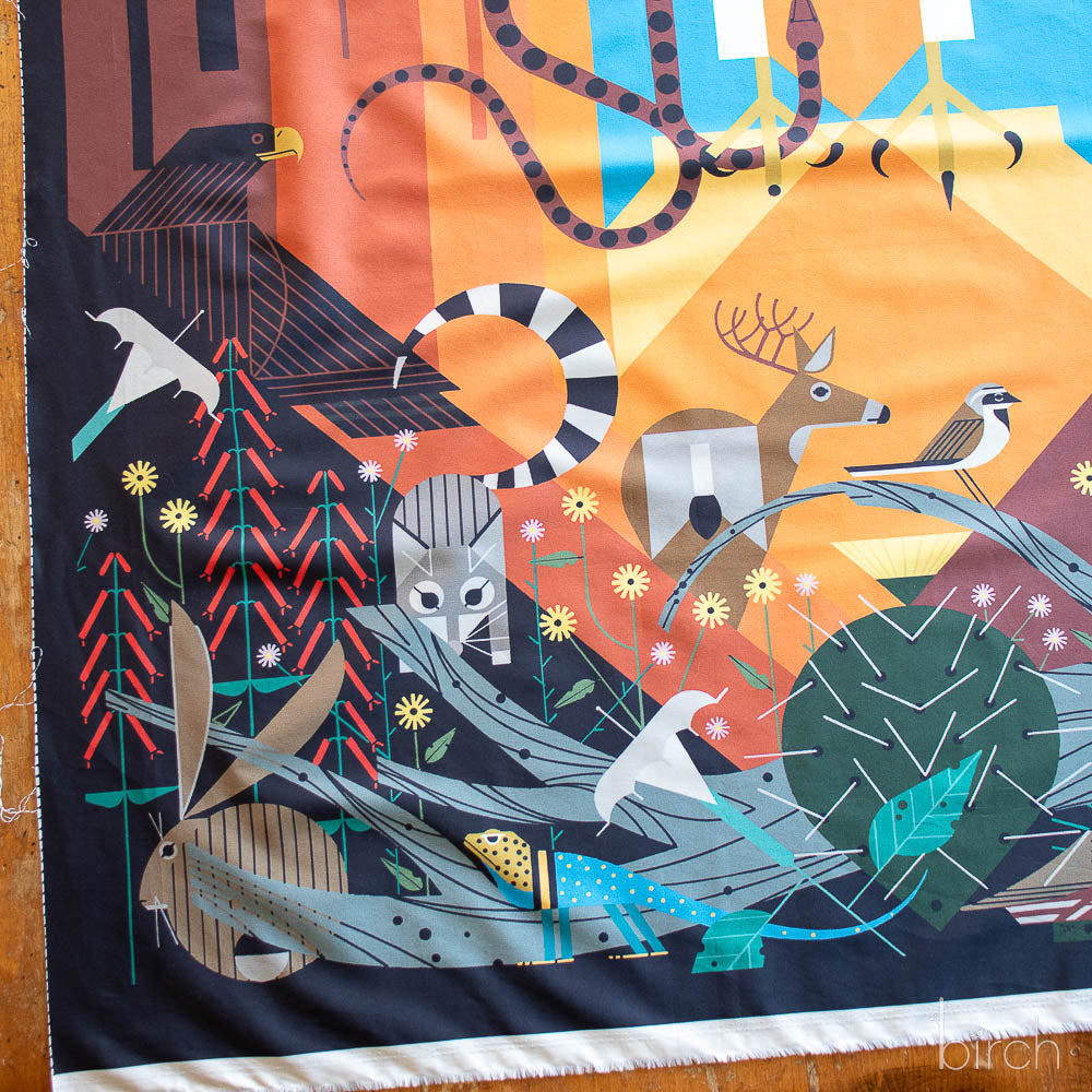 Charley Harper Canyon Country-012