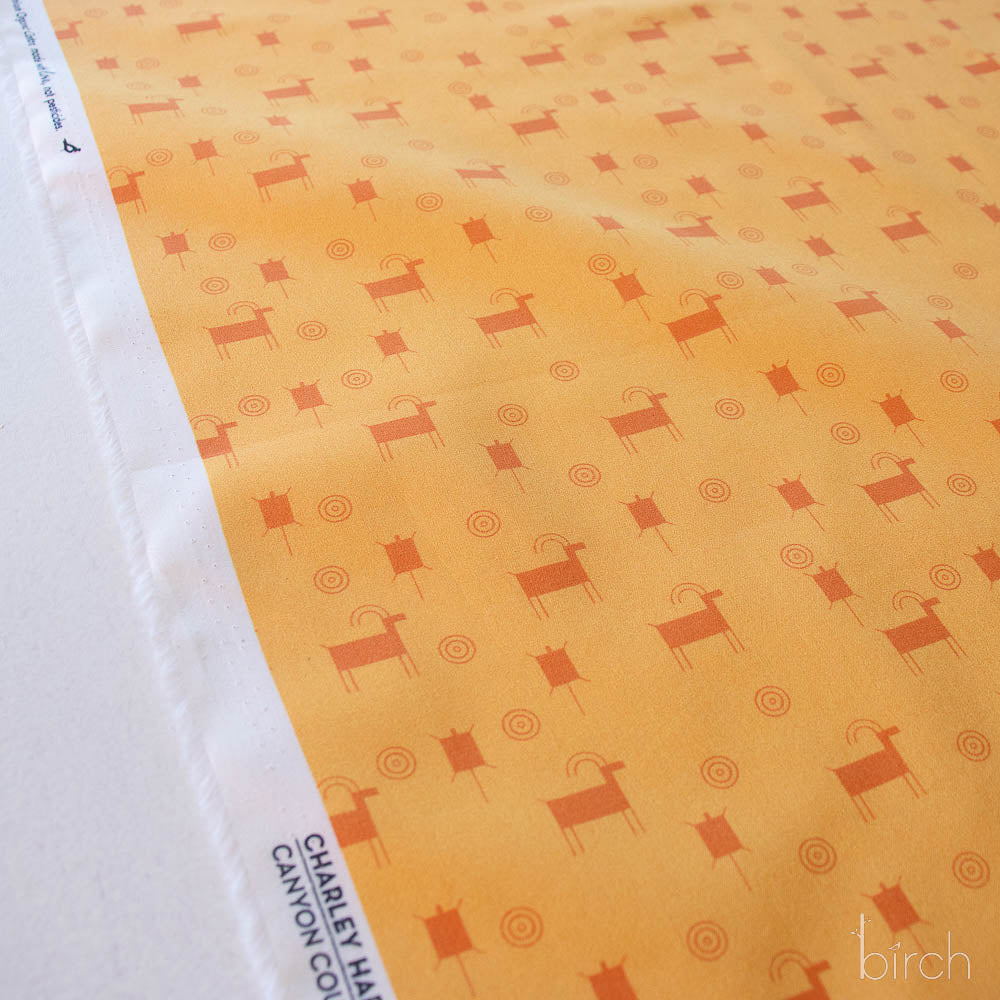 Charley Harper Canyon Country-073