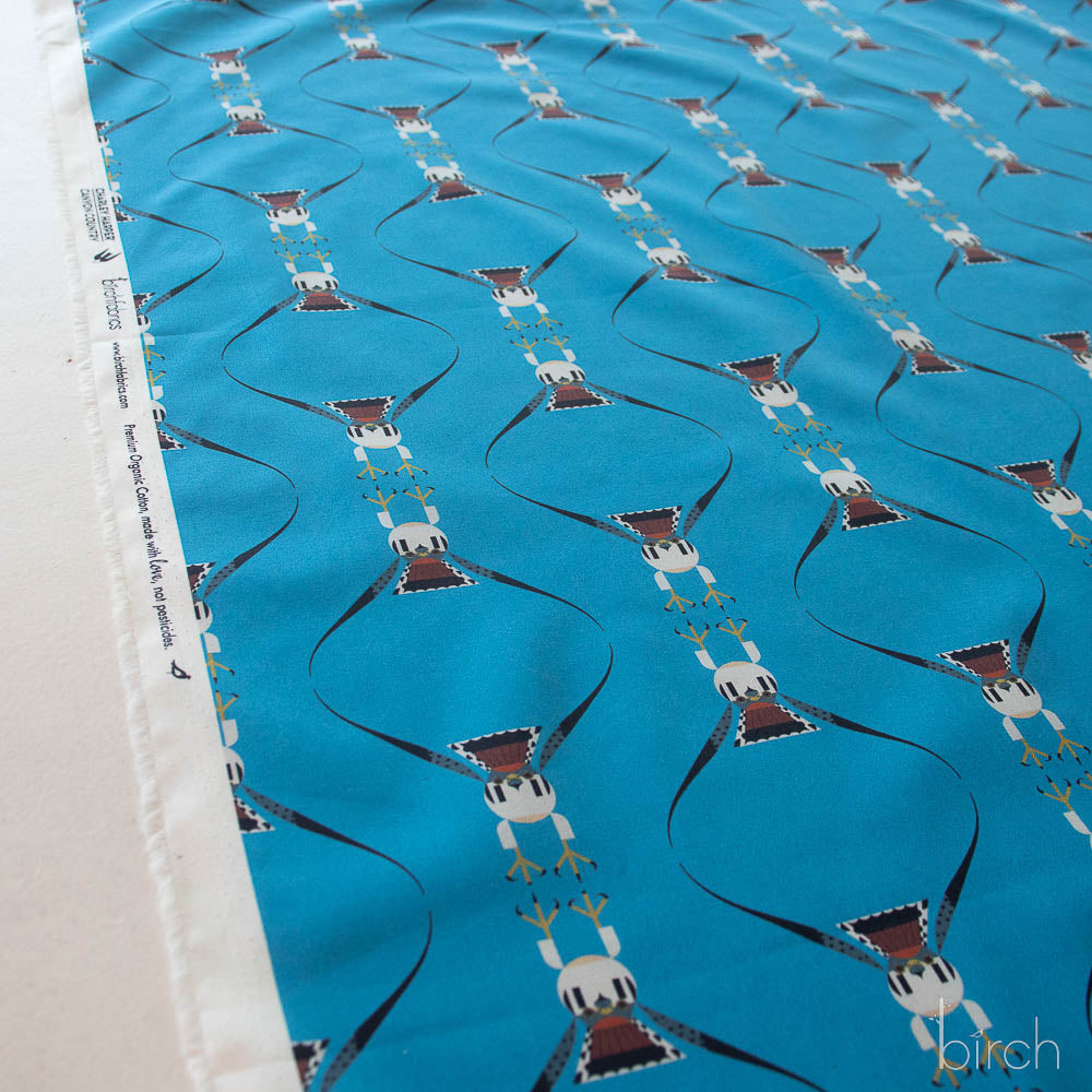 Charley Harper Canyon Country-082