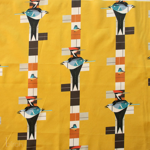 Birch Birds