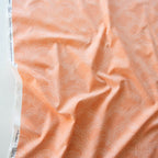Clouds Apricot, Homestead by Emily Isabella for Birch Organic Fabrics