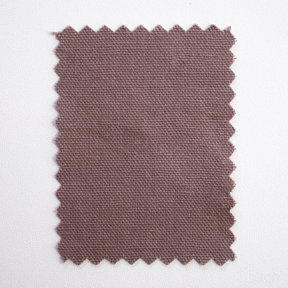 Solid Canvas - Dark Shroom