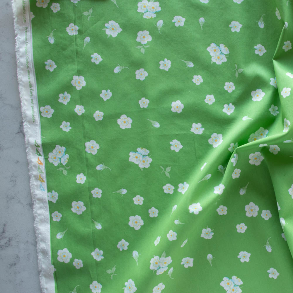 Plum Blooms Birch Fabrics Oana Befort Flowering Trees