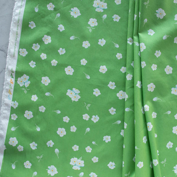 Plum Blooms Birch Fabrics Oana Befort Flowering Trees