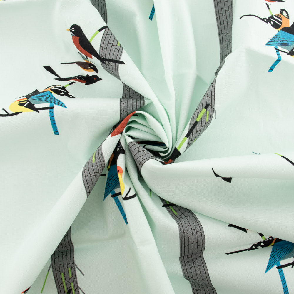 Birds on Pine