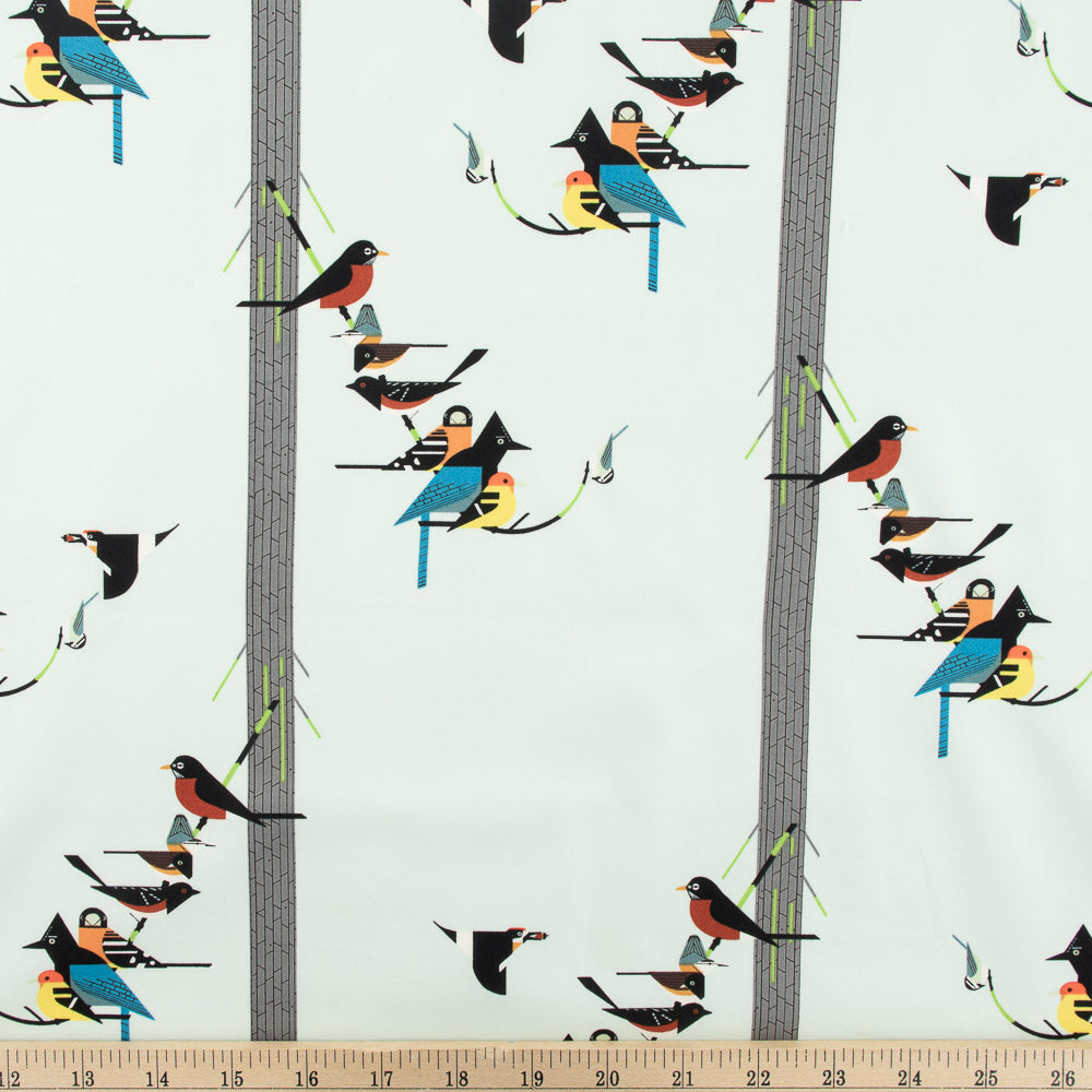 Birds on Pine