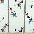 Birds on Pine