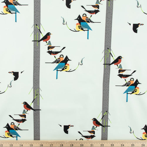 Birds on Pine