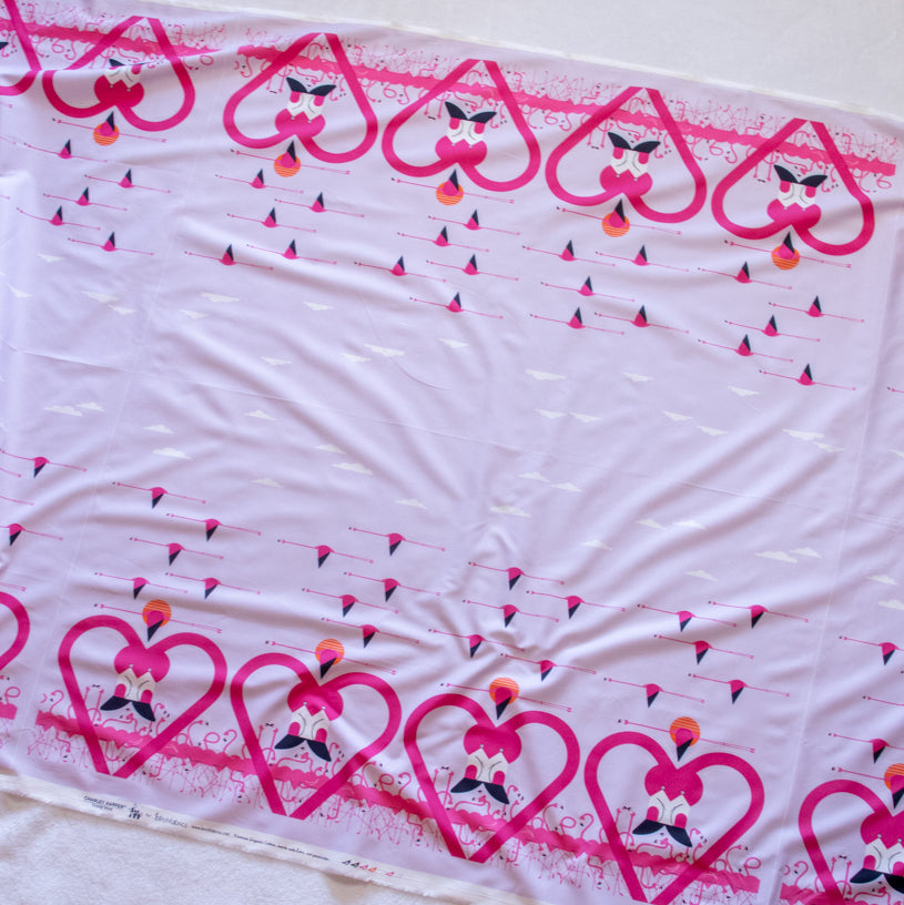 Flamingo-A-Go-Go Double Border 1yd Panels