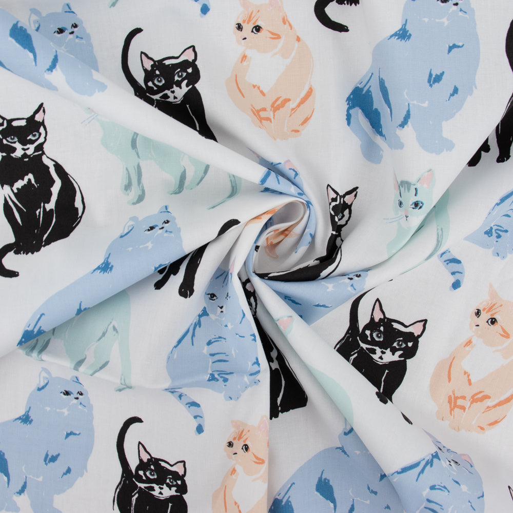 Miau, Jenny Ronen Archives