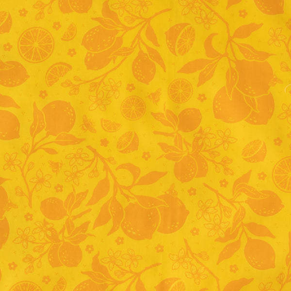Citrus Tonal Orange