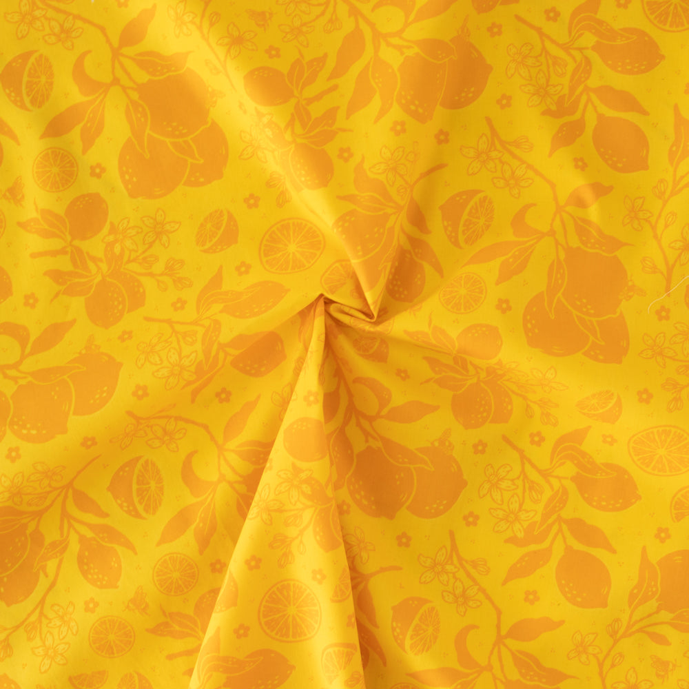 Citrus Tonal Orange