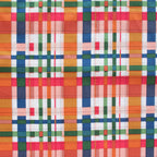 Plaid Party Meadow Wild Fronds by Kate Capone for Birch Fabrics