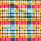 Plaid Party Market Wild Fronds by Kate Capone for Birch Fabrics