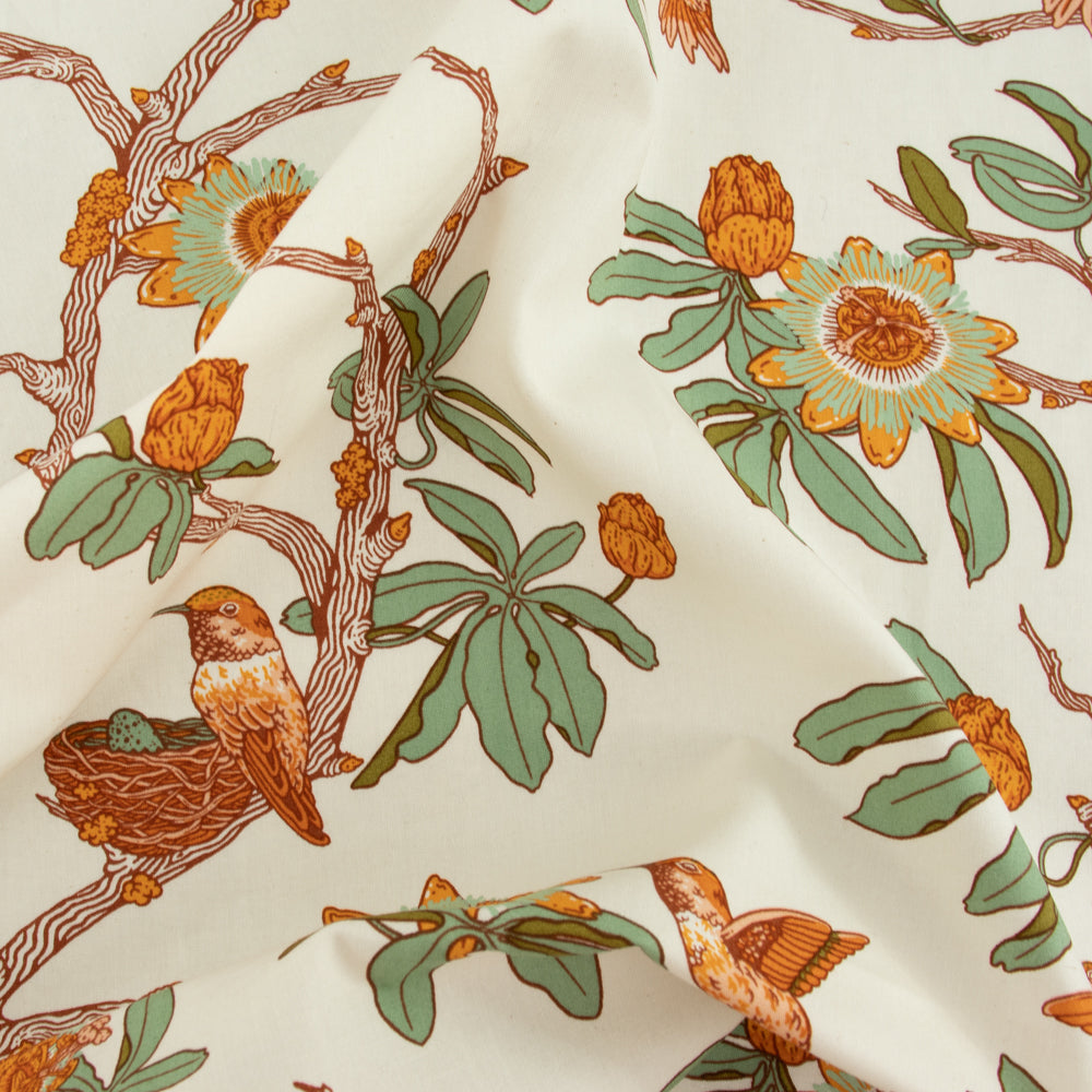 Passion Cream, The Wild Coast Archive by Mustard Beetle