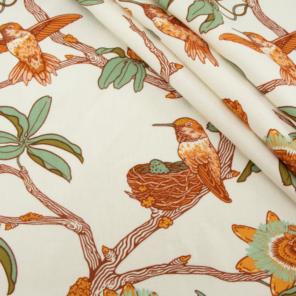 Passion Cream, The Wild Coast Archive by Mustard Beetle