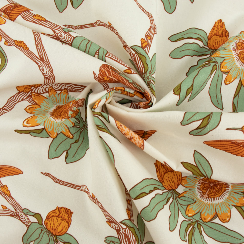 Passion Cream, The Wild Coast Archive by Mustard Beetle