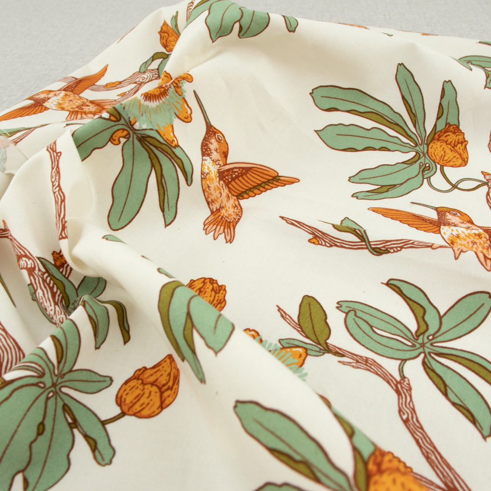 Passion Cream, The Wild Coast Archive by Mustard Beetle