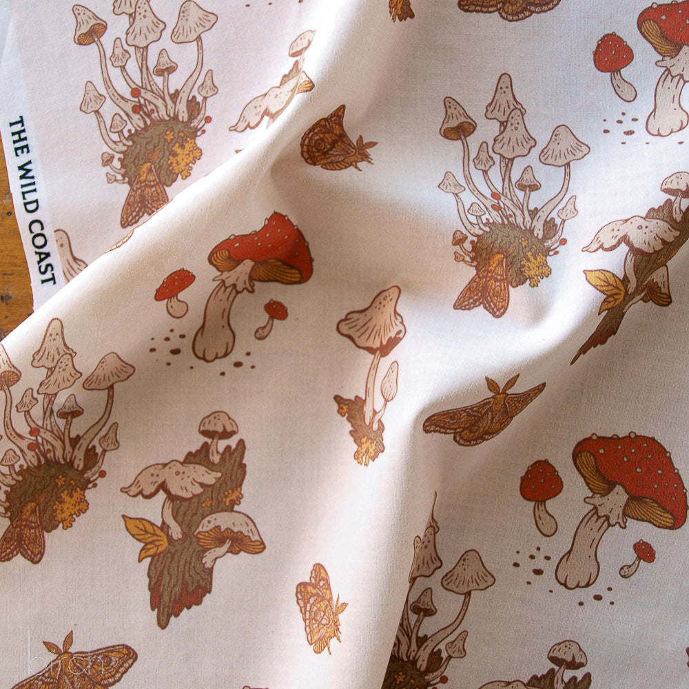 Mushrooms Cream Lawn