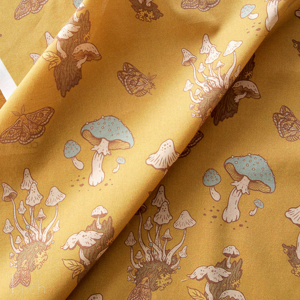 Mushrooms Mustard Lawn