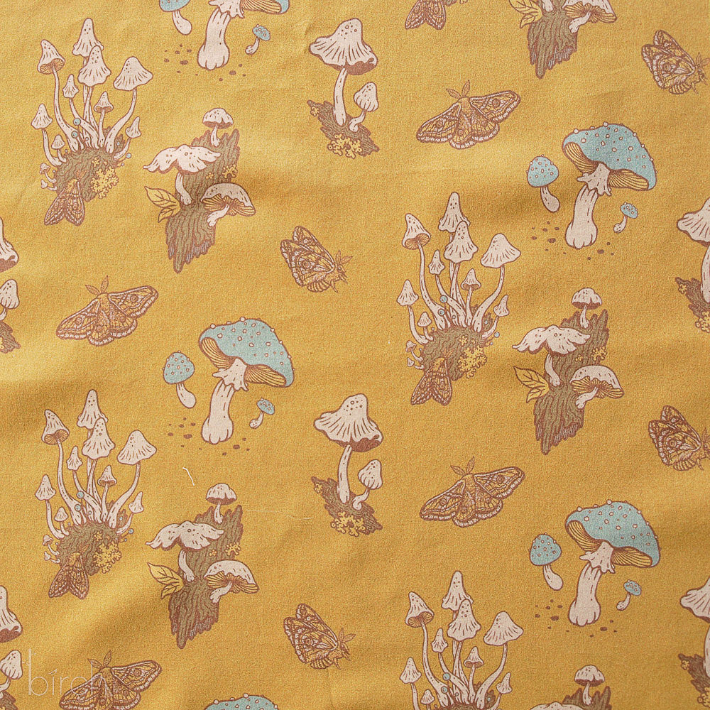 Mushrooms Mustard Lawn