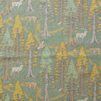 Redwoods Green Lawn